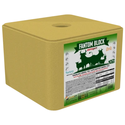PORTAGEM FANTOM BLOCK