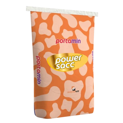 PORTAMİN POWERSACC