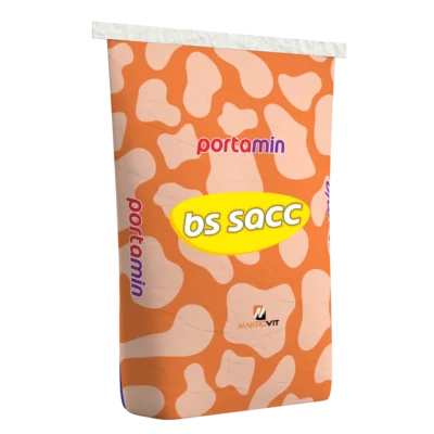 PORTAMİN BS SACC